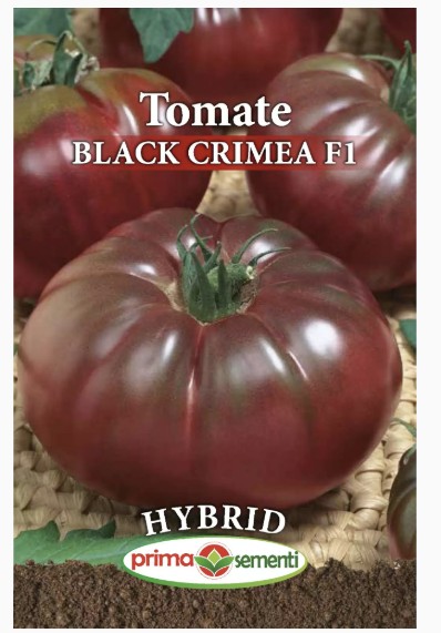 BLACK CRIMEA F1 (PRIMA SEMENTI)