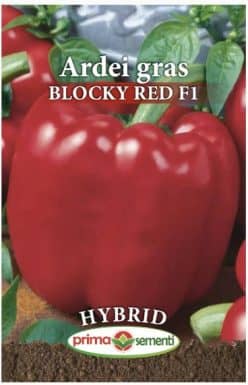 ARDEI GRAS ROSU BLOCKY RED F1 (PRIMA SEMENTI)
