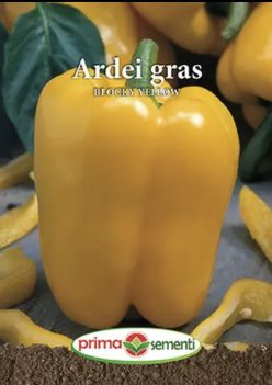 ARDEI BLOCKY YELLOW (PRIMA SEMENTI)