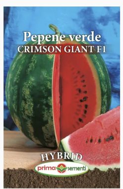 PEPENE VERDE HIBRID CRIMSON GIANT F1 (PRIMA SEMENTI)