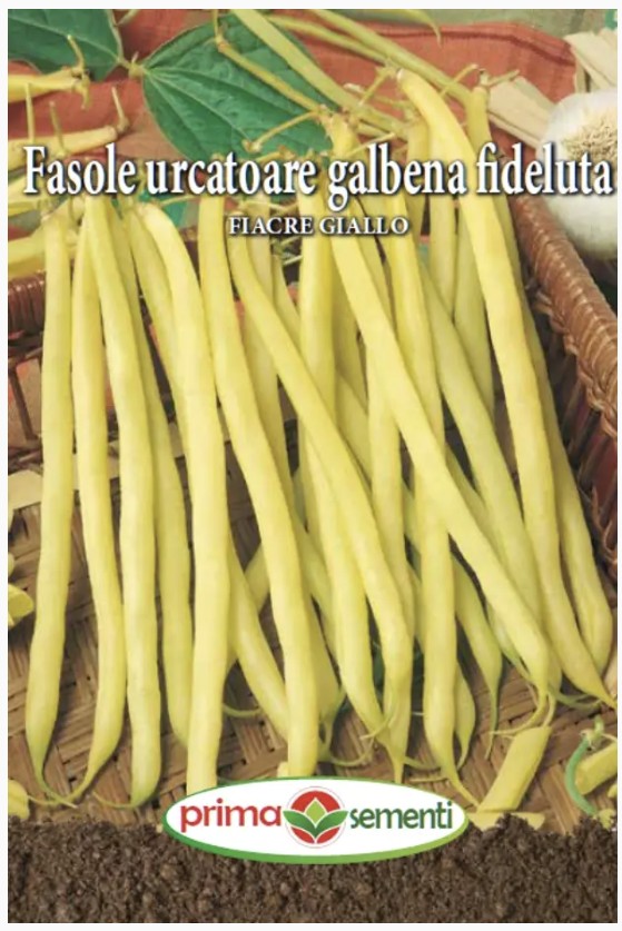 FASOLE URCATOARE FIDELUTĂ FIACRE GIALLO (PRIMA SEMENTI) (10g)