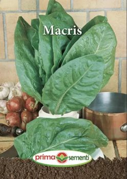 MĂCRIS (PRIMA SEMENTI)