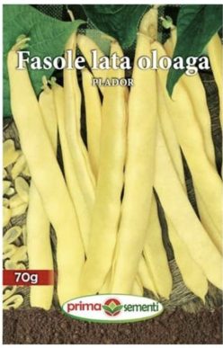 Fasole pitică PLADOR (PRIMA SEMENTI) (70g)