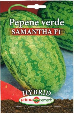 PEPENE VERDE HIBRID  SAMANTHA F1 (PRIMA SEMENTI)