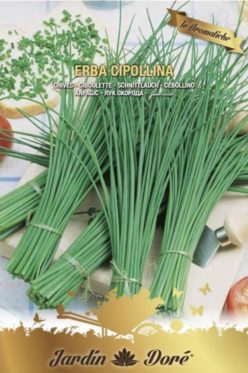Ceapă ERBA CIPOLLINA /Ceapă de tuns /Chives(RACI Sementi)