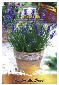 LAVANDA VERA