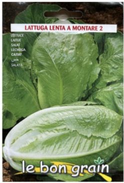 SALATĂ DE VARĂ Lenta a Montare 2