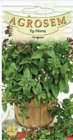 OREGANO