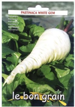 PĂSTARNAC WHITE GEM (RACI SEMENTI)