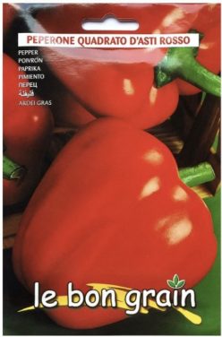 ARDEI GRAS  QUADRATO D'ASTI ROSSO