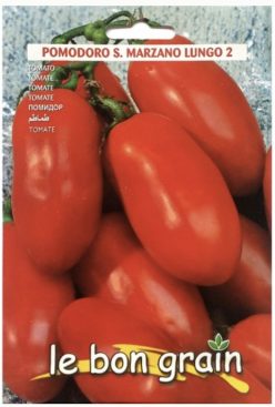 SAN MARZANO LUNGO 2 (RACI Sementi)