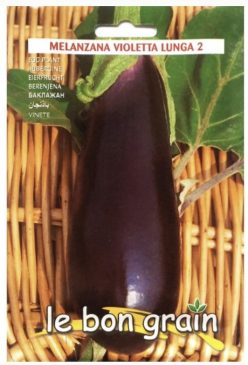 VINETE VIOLETTA LUNGA 2 (RACI Sementi)