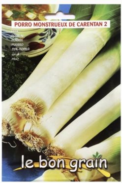 PRAZ MONSTRUEUX DE CARENTAN 2 (RACI Sementi)